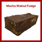 Mocha Nut